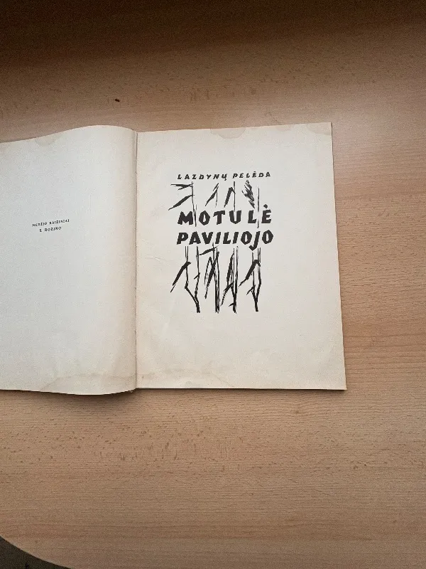 Motulė paviliojo