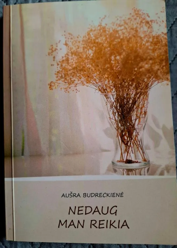 Nedaug man reikia
