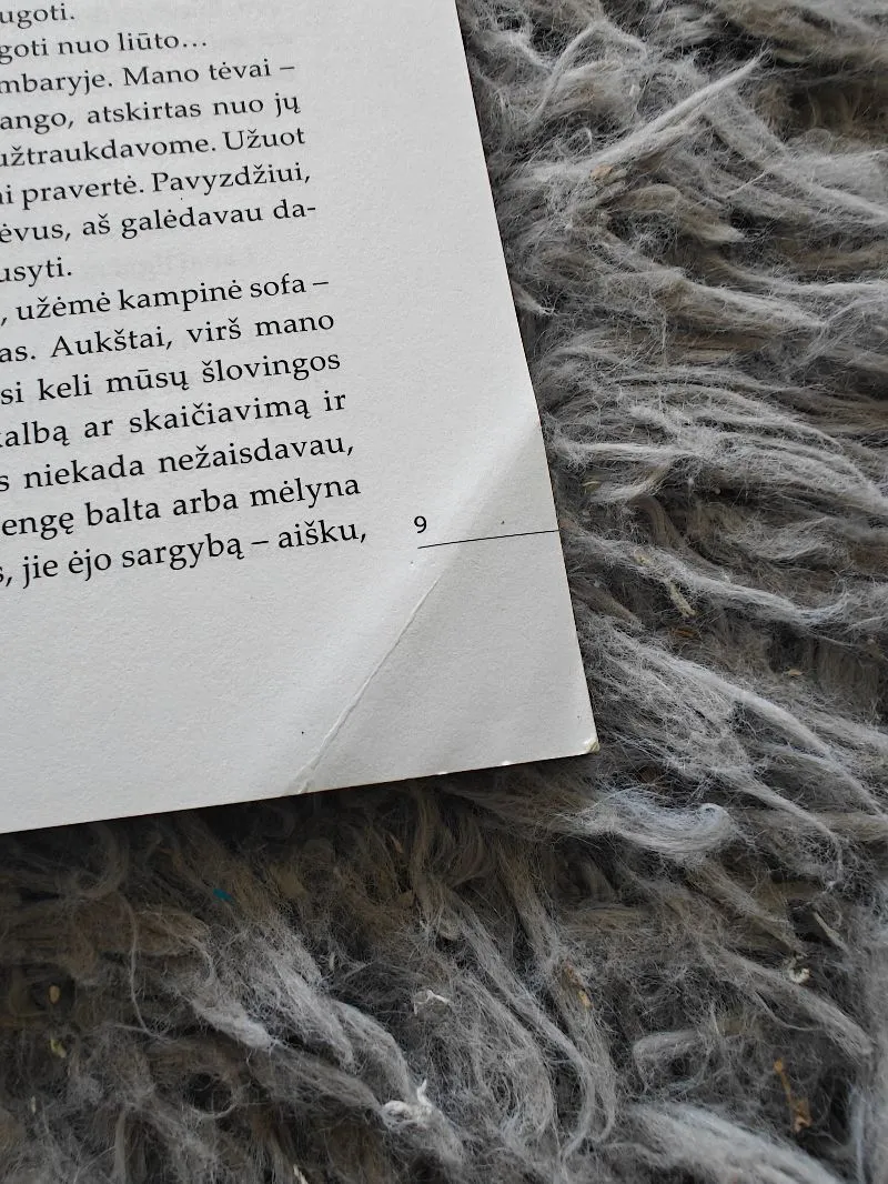 Vaikų seksualumas: tai, ko jums nevalia žinoti