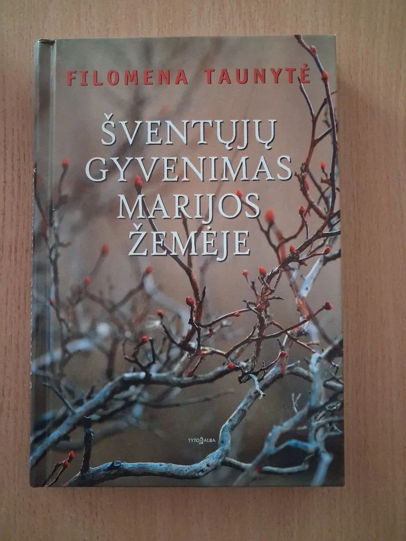 Šventųjų gyvenimas Marijos žemėje