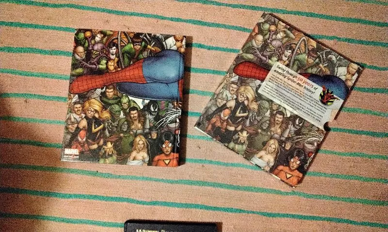 Spider-Man Year by Year a Visual Chronicle