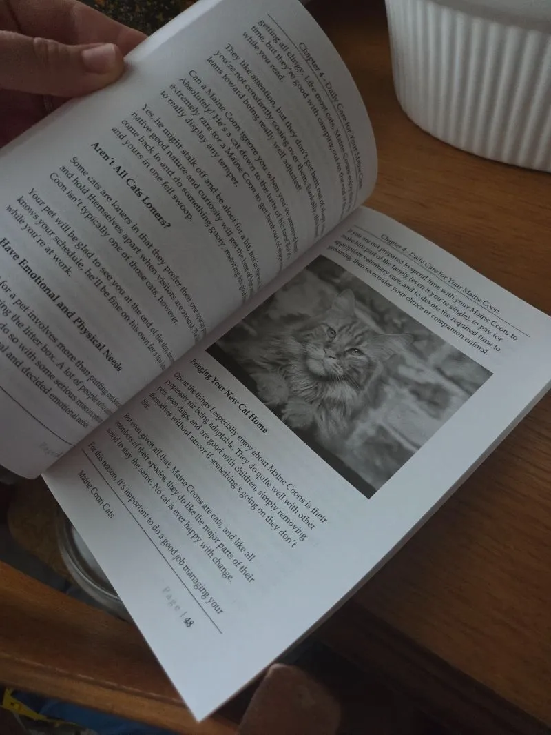 Maine Coon Cats - The Owners Guide from Kitten to Old Age - Buying, Caring for