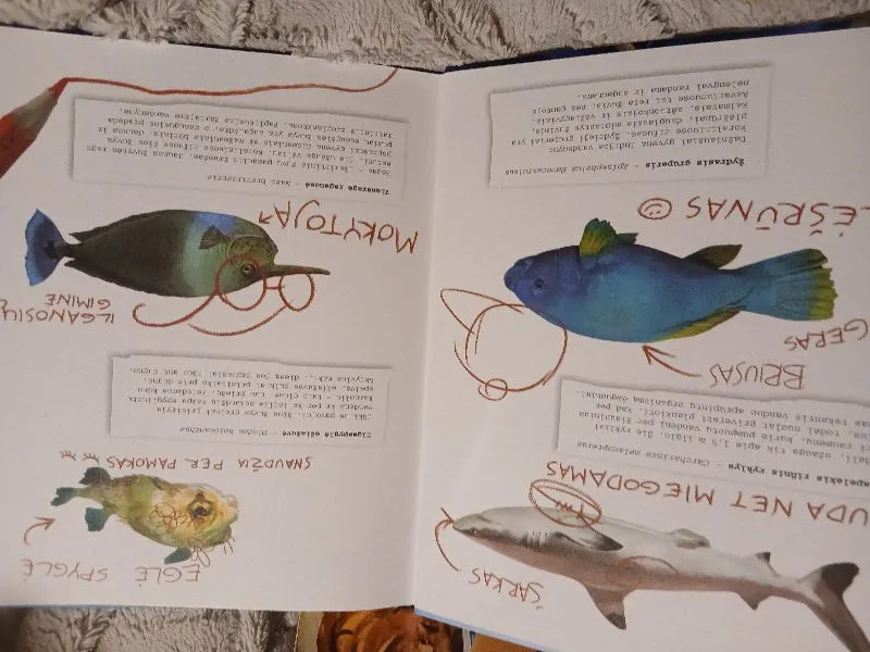 Akvariumo istorijos. Eglės Spyglės paslaptis