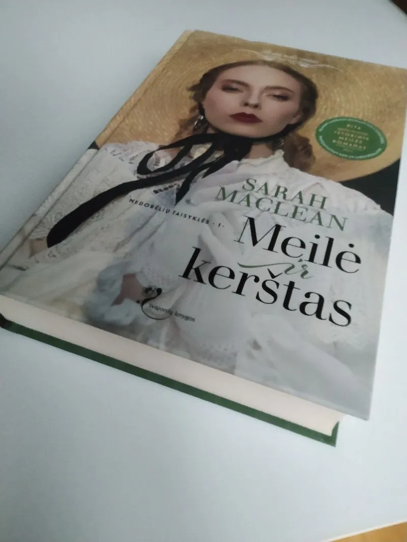 Meilė ir kerštas. Nedorėlių taisyklės. 1 knyga