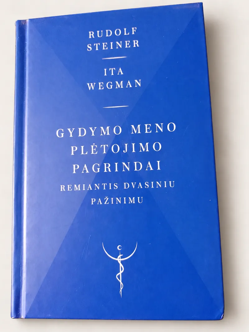 Gydymo meno plėtojimo pagrindai