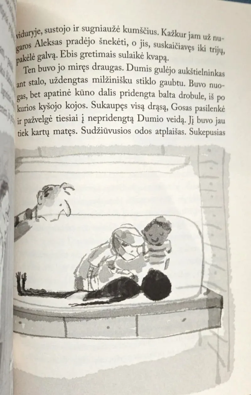 Mumija Dumis ir Sebek-Ra kaukė