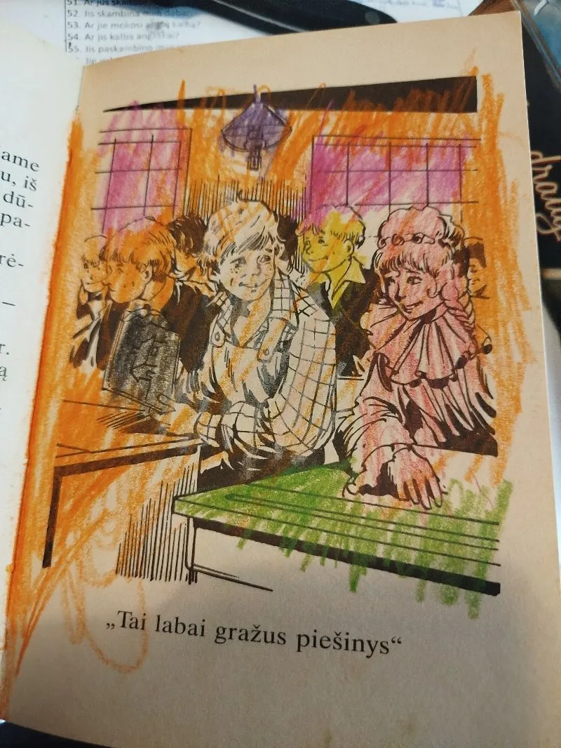 Tomo Sojerio nuotykiai