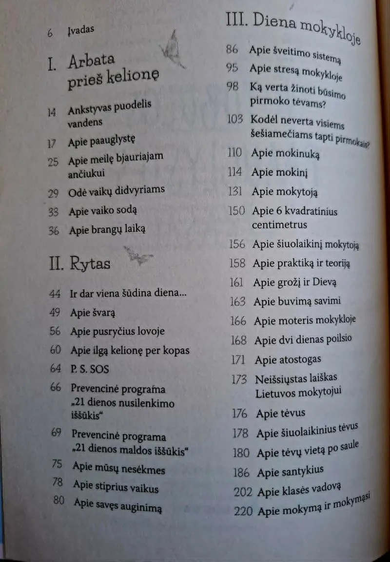 (Ne)tobulos paauglystės užrašai